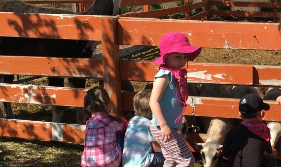 Meadowlark Preschool at Sunflower Farm