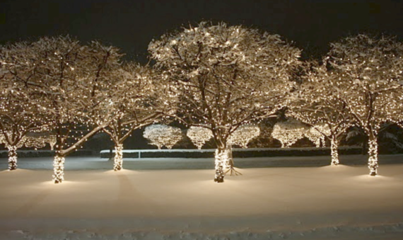 Meadowlark Holiday Concert